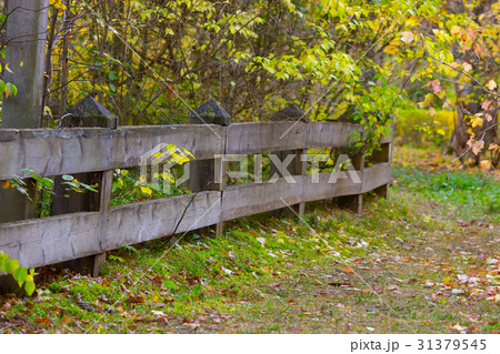 wooden fence in a park 31379545