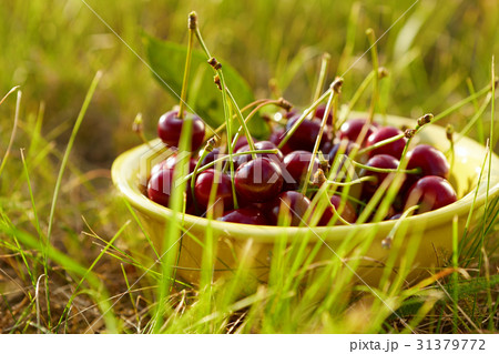 A bowl full of fresh cherries A bowl full of fresh cherries 31379772