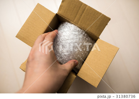 荷物 31380736