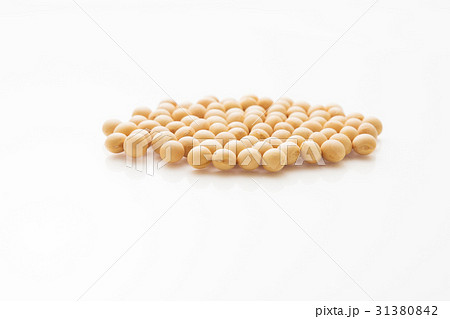 大豆 31380842