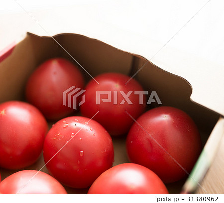 トマト 31380962