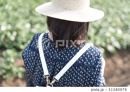 散歩 散歩 31380979