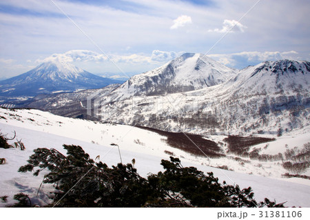 早春のワイスホルンから見るニセコ連峰と羊蹄山 早春のワイスホルンから見るニセコ連峰と羊蹄山 31381106