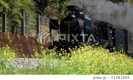 SL人吉号 31381604