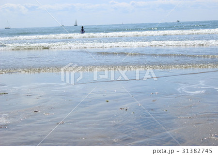 穏やかな海 31382745