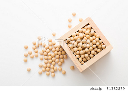 大豆 31382879