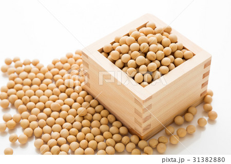 大豆 31382880
