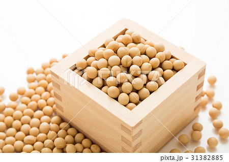 大豆 31382885