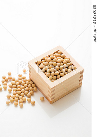 大豆 31383089