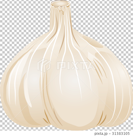 淡棕色大蒜 31383105