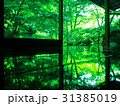 瑠璃光院　深緑 31385019