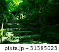 瑠璃光院　深緑 31385023