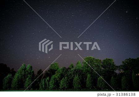 night sky with many stars above field of trees. night sky with many stars above field of trees. 31386138