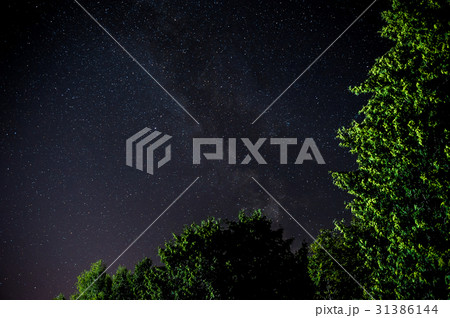 night sky with many stars above field of trees. night sky with many stars above field of trees. 31386144