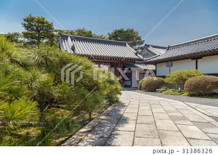 京都嵯峨野 大覚寺の前庭風景 京都嵯峨野 大覚寺の前庭風景 31386326