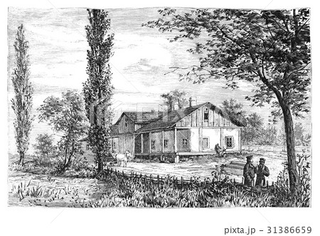 Rural scene Rural scene 31386659