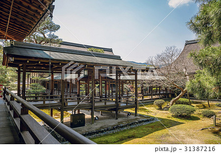 美しい回廊と庭園風景 31387216