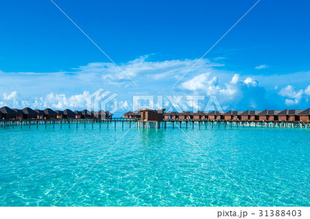 Maldives island with beach 31388403