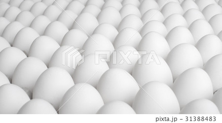 eggs eggs 31388483