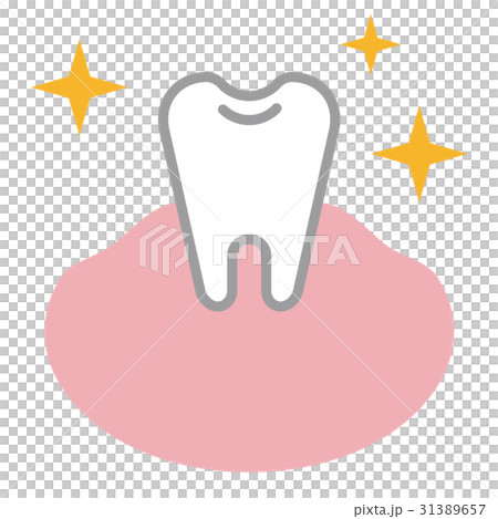 Tooth 31389657