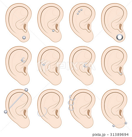 Ear Piercings Different Typesのイラスト素材