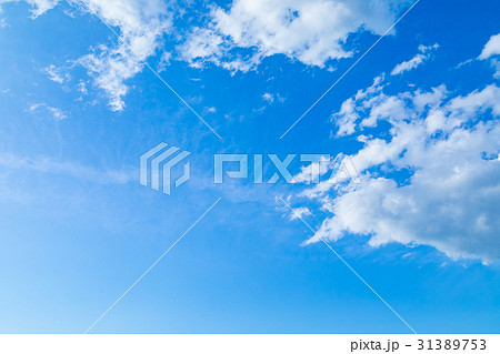 爽やか初夏の空 コピースペース 文字スペース 背景用素材 爽やか初夏の空 コピースペース 文字スペース 背景用素材 31389753