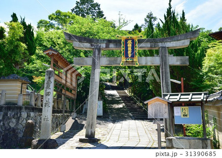 粟田神社　鳥居 31390685