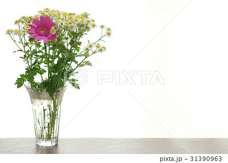 ガーベラとノースポール ガラス花瓶の写真素材