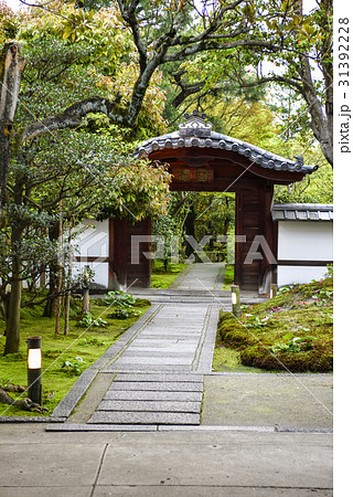 圓徳院 唐門 圓徳院 唐門 31392228