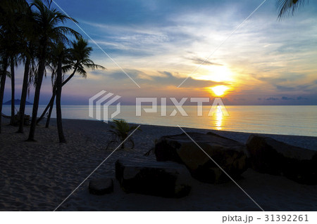 Sunrise morning Sunrise morning 31392261