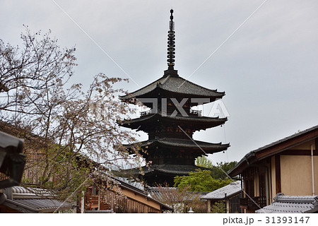 八坂の塔 法観寺 八坂の塔 法観寺 31393147