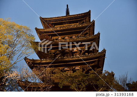 八坂の塔 法観寺 八坂の塔 法観寺 31393168