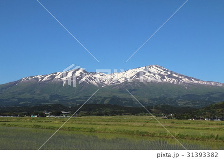 残雪の鳥海山と庄内平野 31393382