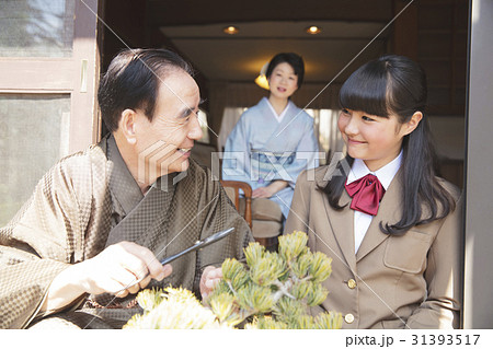 お金持ちの家族　盆栽の手入れ 31393517