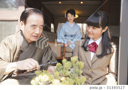 お金持ちの家族 盆栽の手入れ お金持ちの家族 盆栽の手入れ 31393527