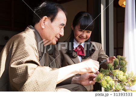 お金持ちの家族　盆栽の手入れ 31393533