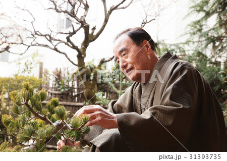 お金持ち 盆栽の手入れ お金持ち 盆栽の手入れ 31393735