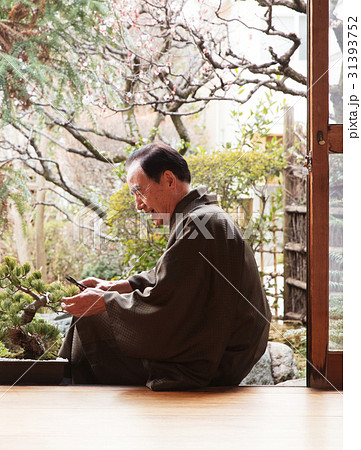 お金持ち 盆栽の手入れ お金持ち 盆栽の手入れ 31393752