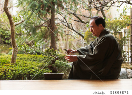 お金持ち 盆栽の手入れ お金持ち 盆栽の手入れ 31393871