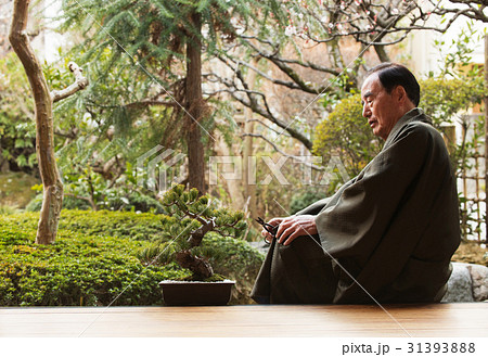 お金持ち 盆栽の手入れ お金持ち 盆栽の手入れ 31393888