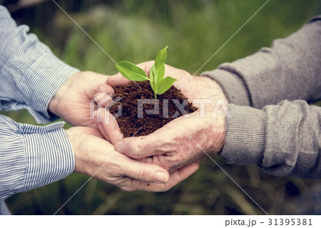 Environmental Conservation Plant Sustainability 31395381