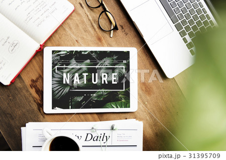 Ecology Fresh Lush Natural Nature Ecology Fresh Lush Natural Nature 31395709