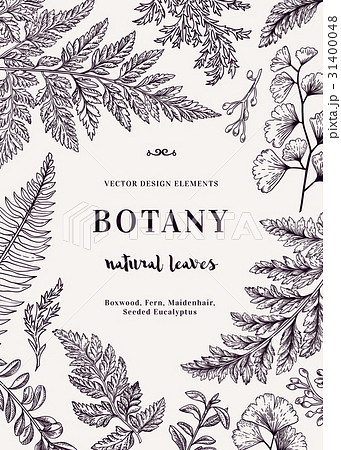 Botanical card for with leaves. 31400048