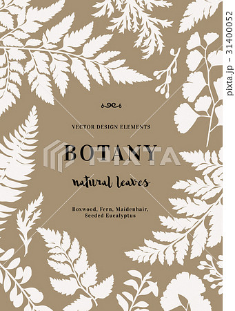 Botanical card for with leaves. 31400052