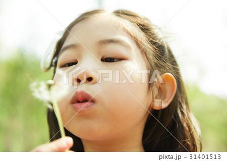 花 春 人 31401513