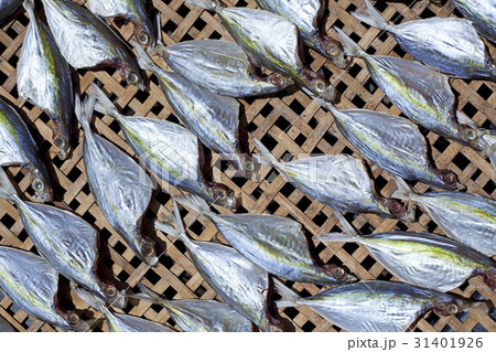 Dried Fish Dried Fish 31401926