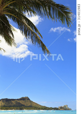 ダイヤモンドヘッド ダイヤモンドヘッド 31401983