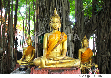 Buddha statue beautiful of Wat Kae Temple Buddha statue beautiful of Wat Kae Temple 31402196