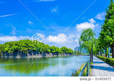 皇居外苑 日比谷濠の風景(日比谷交差点より 皇居外苑 日比谷濠の風景(日比谷交差点より 31403077