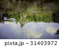 忍野八海 31403972